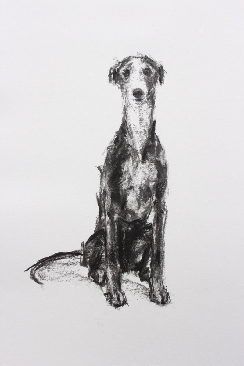 Charcoal Hound Dog Sketch