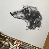 Lurcher charcoal  on grey paper - Original Drawing