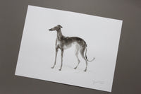 Dark Sighthound ink and wash drawing - ORIGINAL