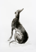 Whippet  ink wash drawing "After Landseer" - ORIGINAL