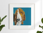 Basset Hound Limited Edition Print