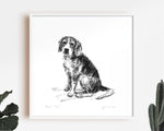 Beagle Sitting Sketch Print