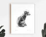 Bedlington Terrier Sketch Print