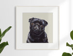 10. Black Pug Limited Edition Print