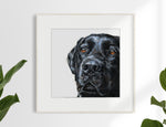 2. Black Labrador Limited Edition Print