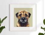 3. Border Terrier Limited Edition Print