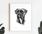 Boxer Dog Sketch Print