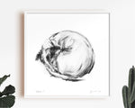 Curled Up Terrier Sketch Print