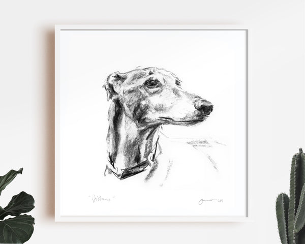 "Distance" Sighthound Sketch Print