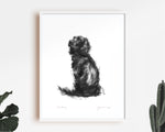 Cocker Spaniel Sketch Print