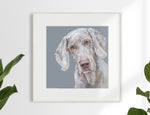 2. Weimaraner Limited Edition Print