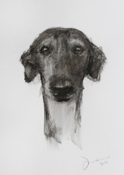 SOLD Galga , Spanish Greyhound, charcoal and graphite wash drawing - ORIGINAL