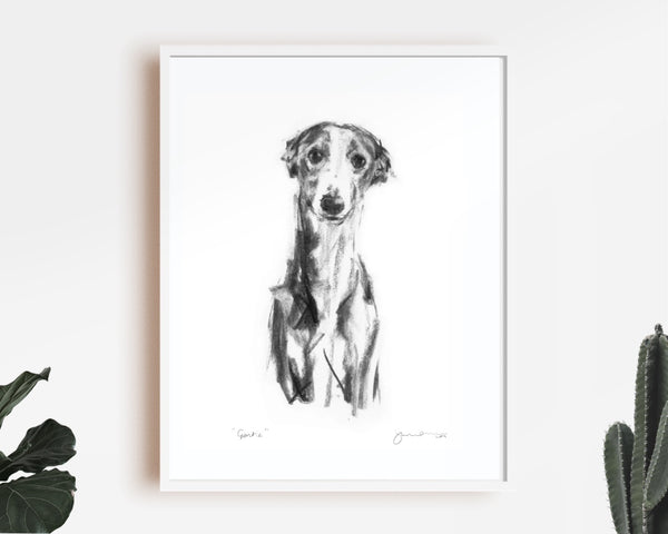 "Gentle" Whippet Sketch Print