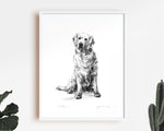 Golden Retriever Sketch Print