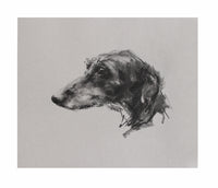 Lurcher charcoal  on grey paper - Original Drawing