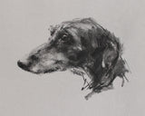 Lurcher charcoal  on grey paper - Original Drawing