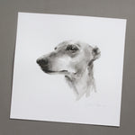 Greyhound ink wash drawing - ORIGINAL