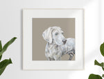 Weimaraner pup Limited Edition Print