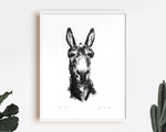 Donkey portrait Sketch Print