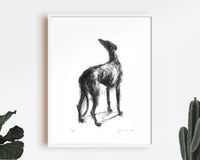 Hope Sighthound Sketch Print