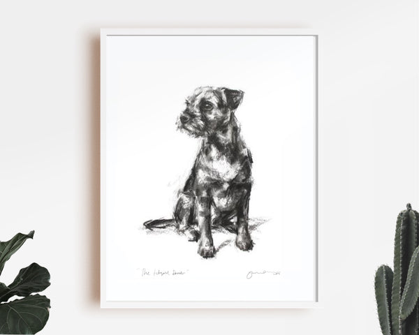 Sitting Border terrier Sketch Print