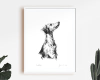 "Listener" Lurcher Sketch Print