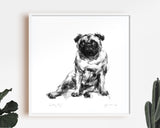 "Lolling Pug" Sketch Print