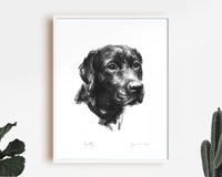 Loyalty Black Labrador Sketch Print