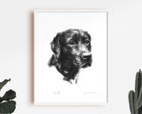 Loyalty Black Labrador Sketch Print