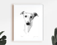 "Muse" Whippet Sketch Print