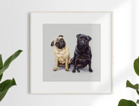 9. Pug Pair Limited Edition Print