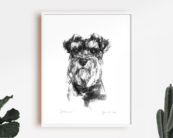 Schnauzer Sketch Print