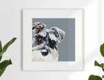 Schnauzer Limited Edition Print