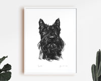 Scottie Dog Sketch Print