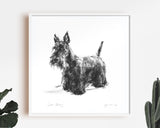 Standing Scottie Sketch Print