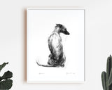 "Serene" Sitting Whippet Sketch Print