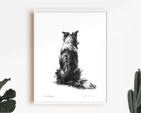 "The Sheepdog" Border Collie Sketch Print