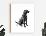 Black Labrador Sitting Sketch Print