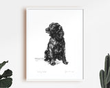 Sitting Cocker Spaniel Sketch Print