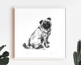 Pug Sitting Sketch Print