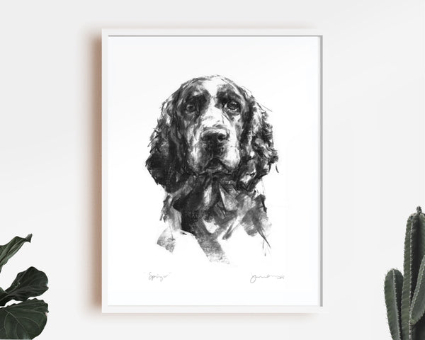 Springer Spaniel Sketch Print