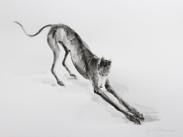 Greyhound Stretching  ink wash drawing - ORIGINAL