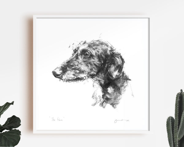 Lurcher Sketch Print