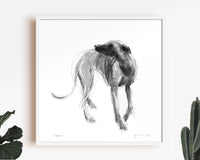 Vagabond Sighthound Ink Sketch Print