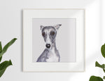 Whippet Limited Edition Print