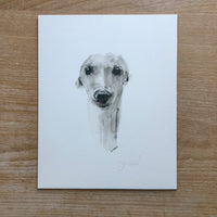 Sighthound Study charcoal and graphite wash drawing - ORIGINAL