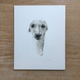 Sighthound Study charcoal and graphite wash drawing - ORIGINAL