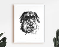 "Endeavour" Wire-Haired Dachshund Sketch Print