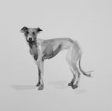 Small Italian Greyhound Ink on Paper - Original Drawing